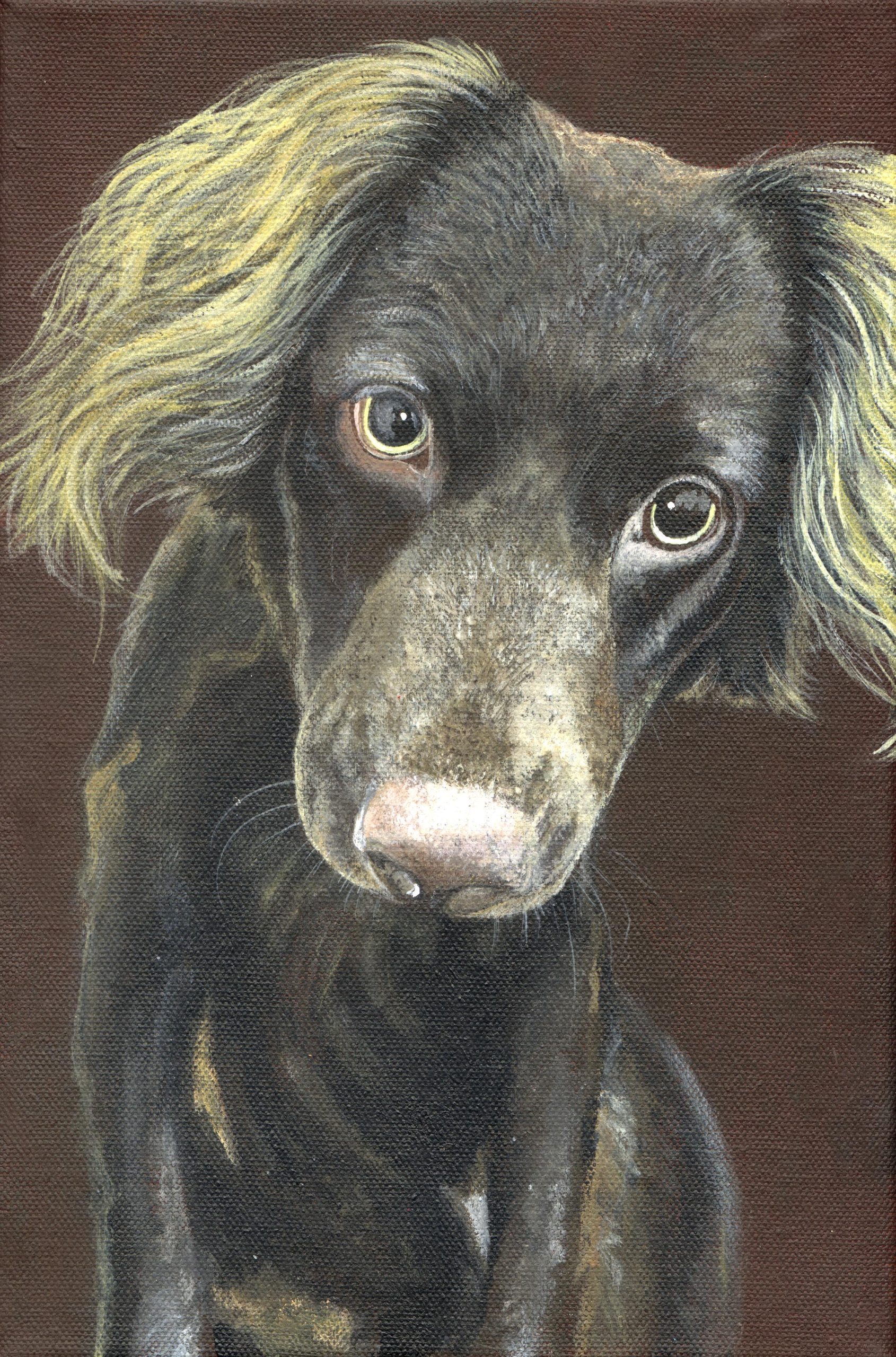 Custom acrylic animal artwork — pet portrait commission by Akit
